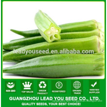 NOK01 Siqu hybrid okra seeds,okra seed price